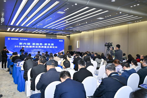 2025中關村論壇系列活動 聚焦科技服務業高質量發展，工程技術服務引領創新未來